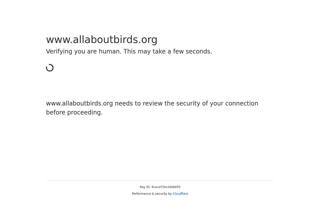 Screenshot of All About Birds