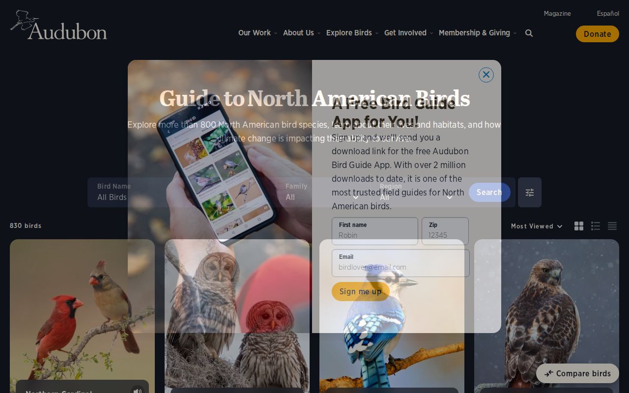 Screenshot of Audubon Bird Guide