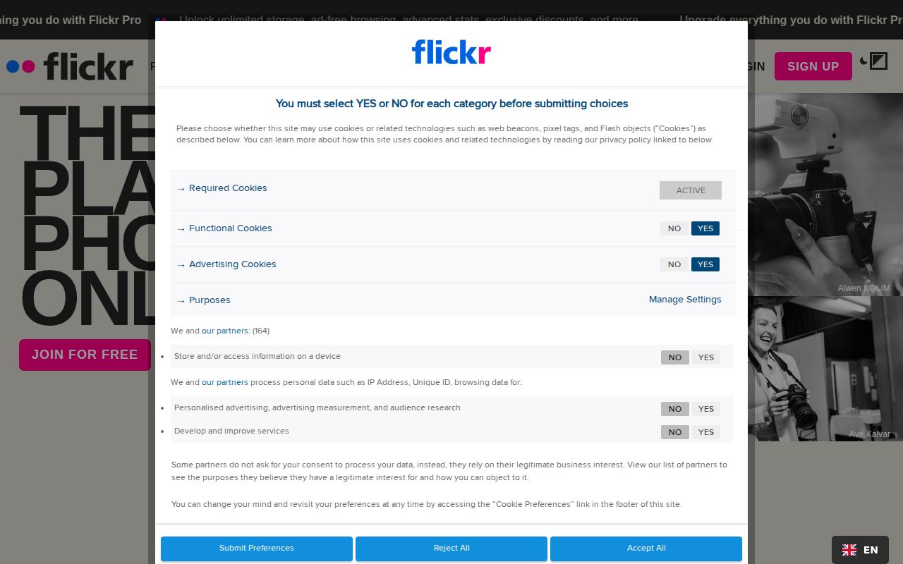 Screenshot of Flickr