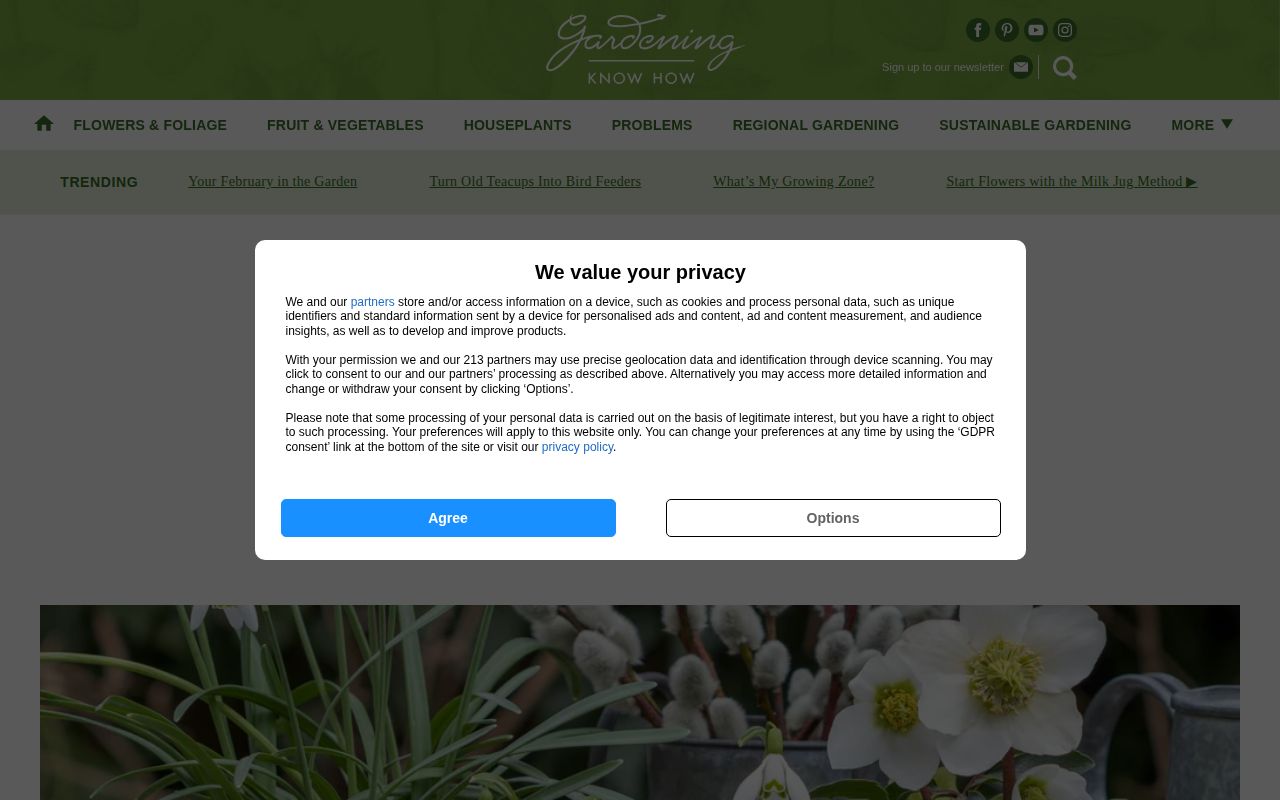 Screenshot of Gardening Know How