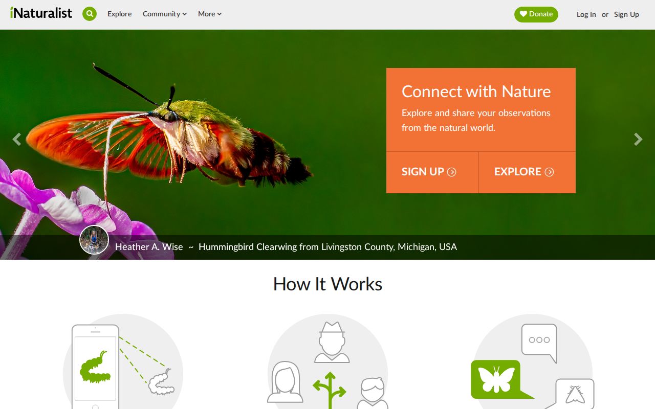 Screenshot of iNaturalist