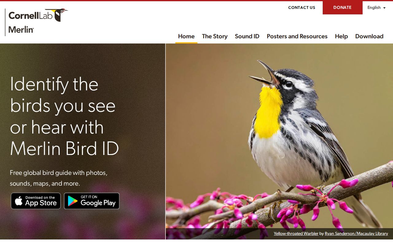 Screenshot of Merlin Bird ID