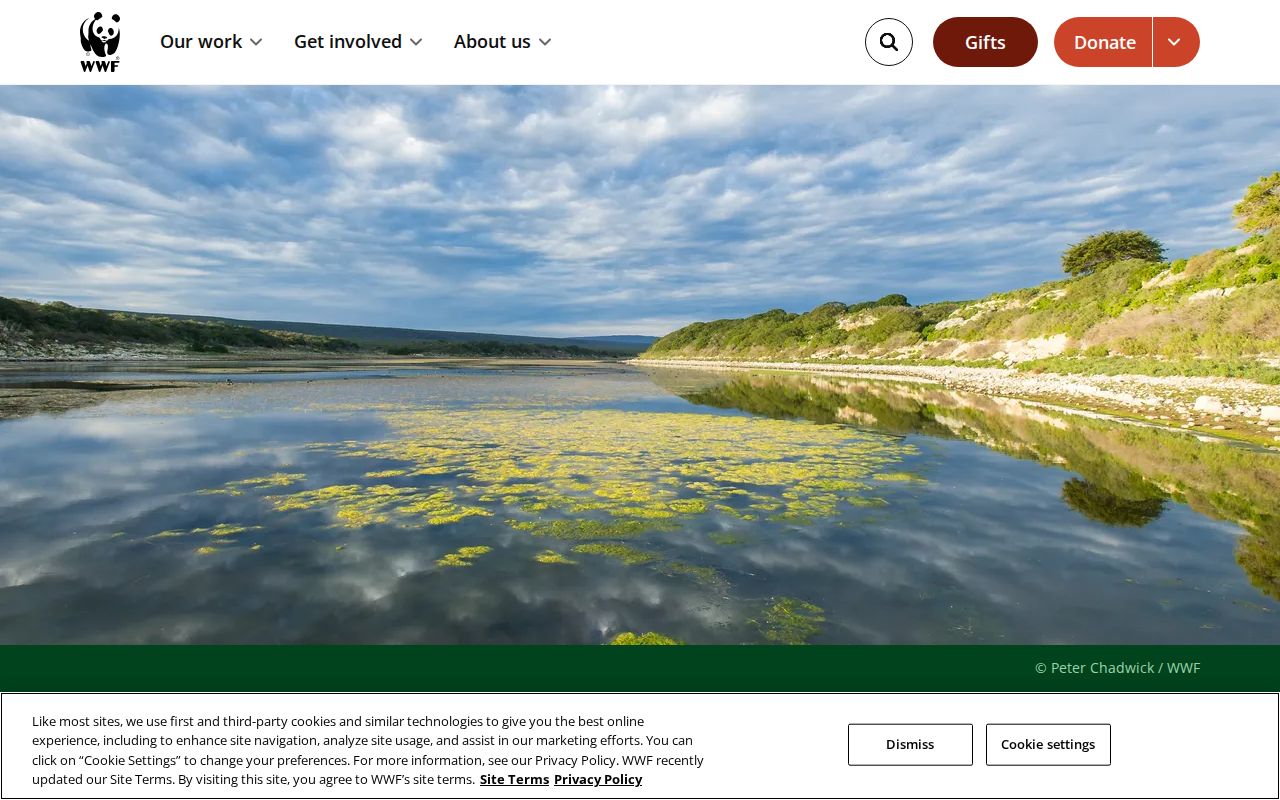 Screenshot of World Wildlife Fund